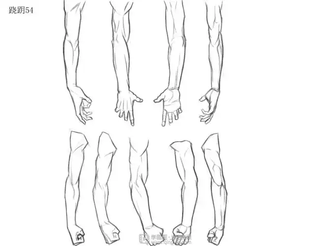 作业:如何学动漫插画之手臂的画法与训练技巧 - 尧月 - 轻微课
