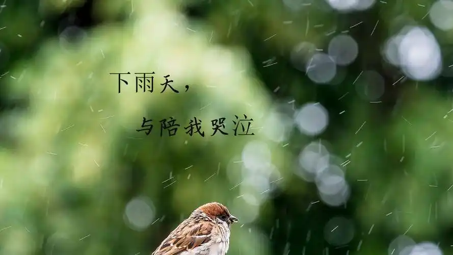 文字控大爱的下雨天伤感说说配图