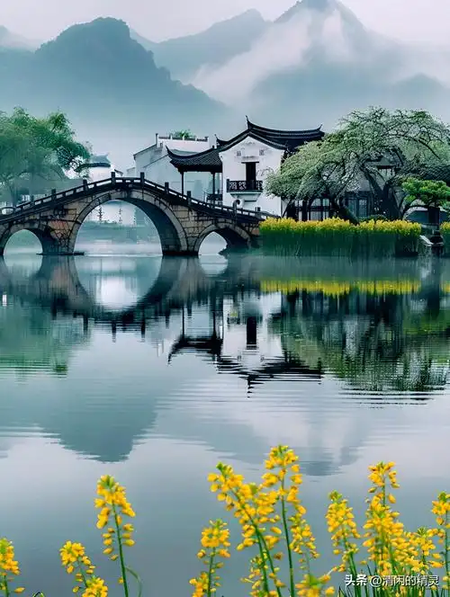 记录我的2024#67#分享你随手拍的风景#67#江南美景,山青水绿,让