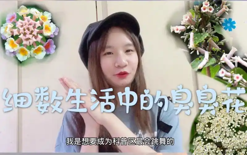 活动作品仙女也会放屁奇怪的知识增加了