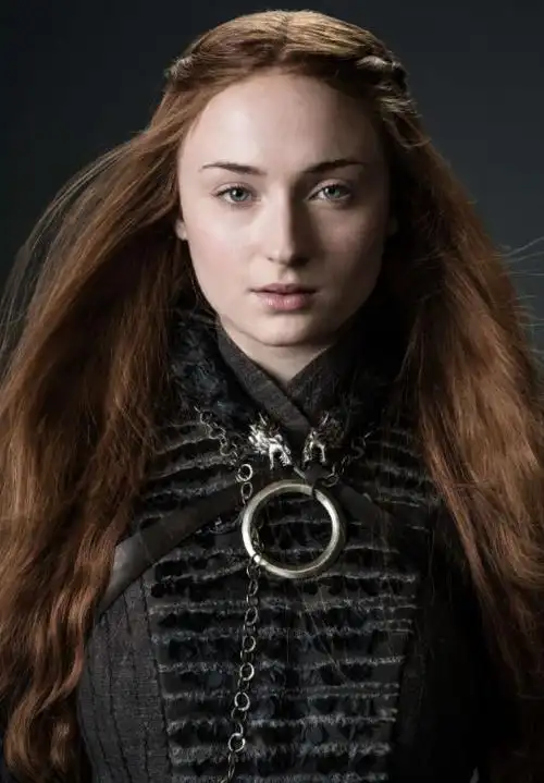 索菲·特纳和乔·乔纳斯于2017年订婚,2019年在拉斯维加斯举办婚礼,第