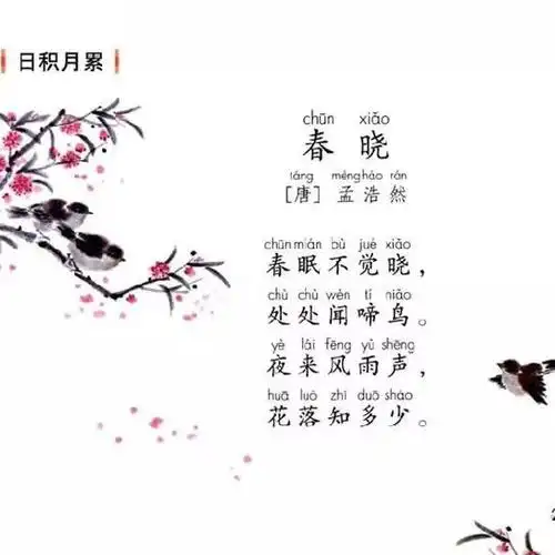 【园地二】《春晓》唐· 孟浩然(春眠不觉晓)