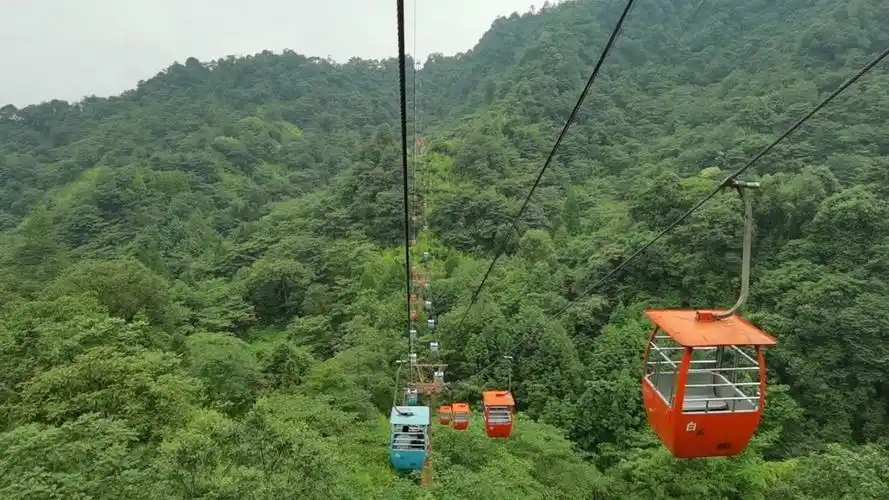 青城山后山的小缆车