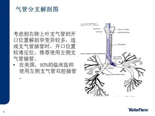 气管插管培训双腔管ppt课件ppt