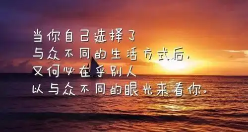 微信很潮的人生感悟哲理语录满满的正能量