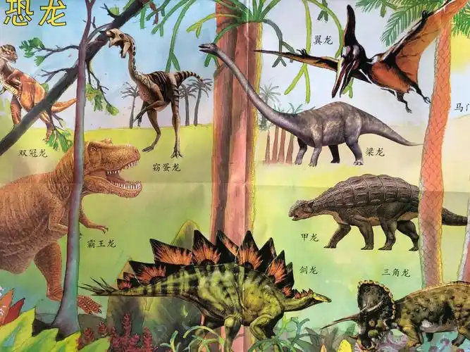 恐龙!你们认识吗?让我们来告诉你吧!