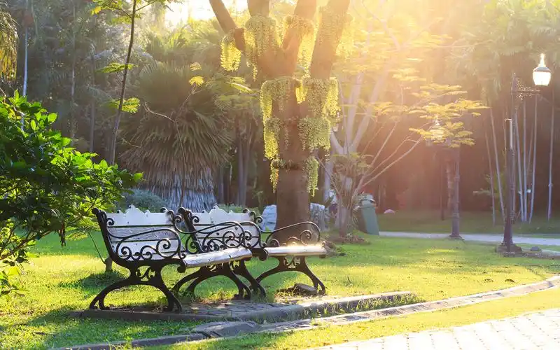 美丽的公园风景摄影高清桌面壁纸