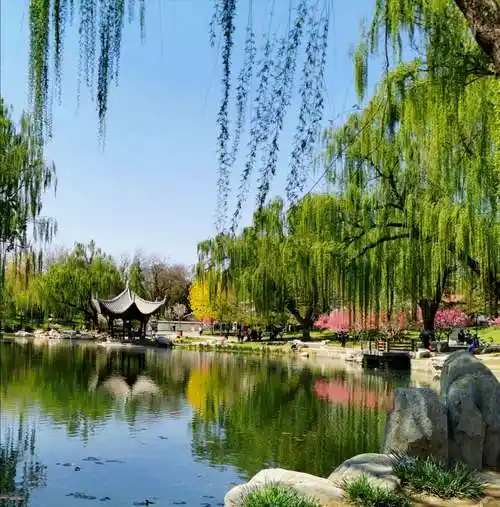其它 春天的陶然亭,风景独好 写美篇陶然亭公园,是北京一座融古代又