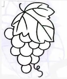 葡萄真实感简笔画(简笔画图片大全) -【爱个性】