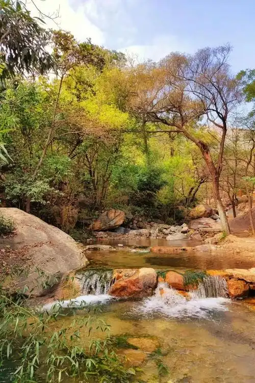 盘点2021年那些惊艳了时光的照片王母山