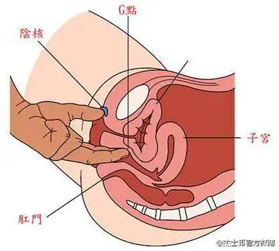 你的香气27的相册杰士邦
