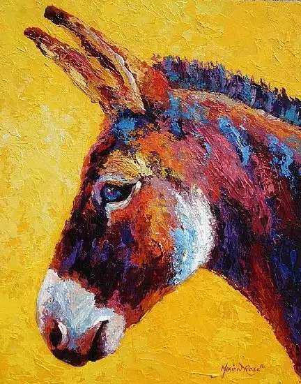 来自艺术家 marion rose 色彩明艳的动物绘画作品一组.