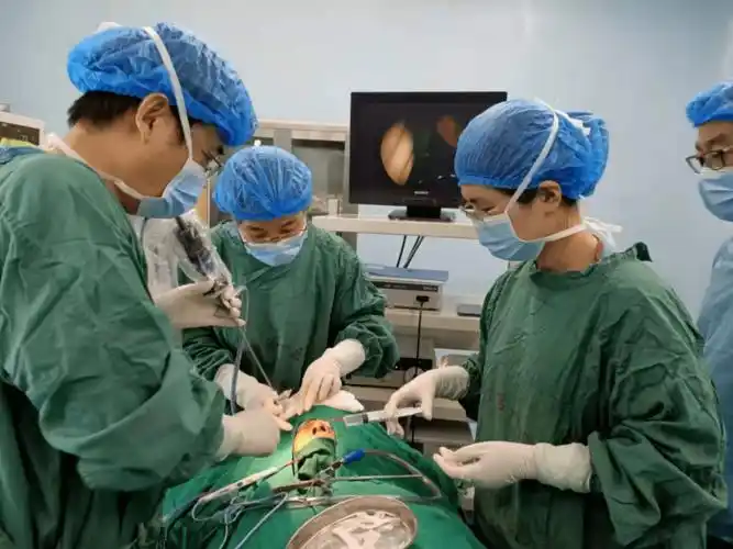 【新技术新业务】淄博市第一医院眼科与耳鼻喉科联合完成全院首例鼻内