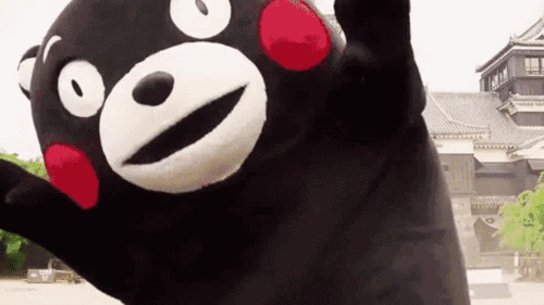 在骋望珺玺看到过它而且上周还有人熊本熊非常喜欢去