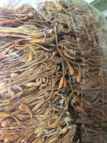 民间流传最贵中药材2万多一斤的,你见过吗