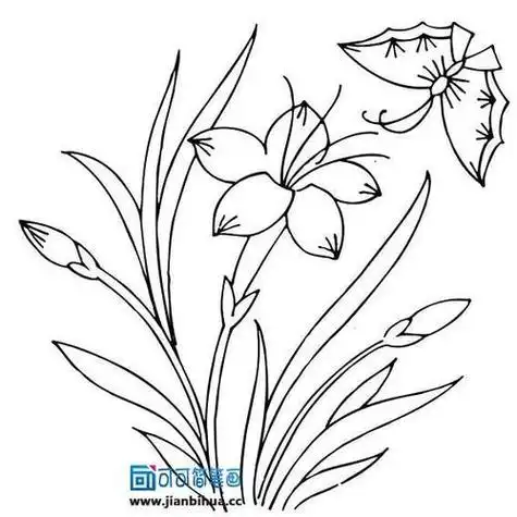 夏天的花和蝴蝶的简笔画集 简笔画图片大全-普车都