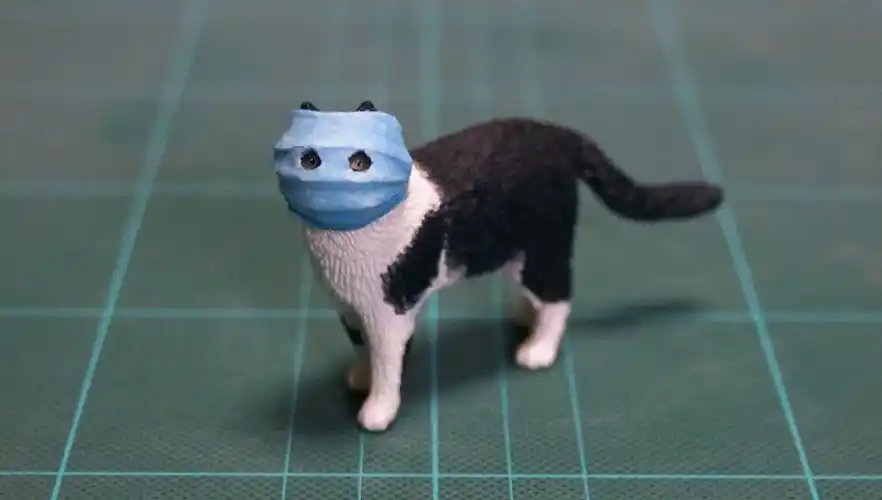 金刚仓鼠猫斯拉喵界双雄给大佬跪了