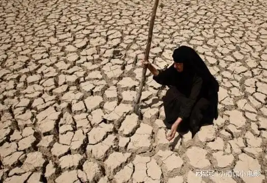 世界气象组织2050年水资源将开始短缺50亿人面临缺水