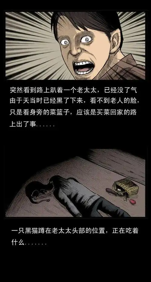 揭秘哈尔滨猫脸老太太灵异事件真相