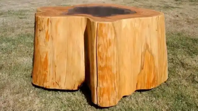 一个中间烂掉的树墩,被木匠做成了这件艺术品,果然是大师!