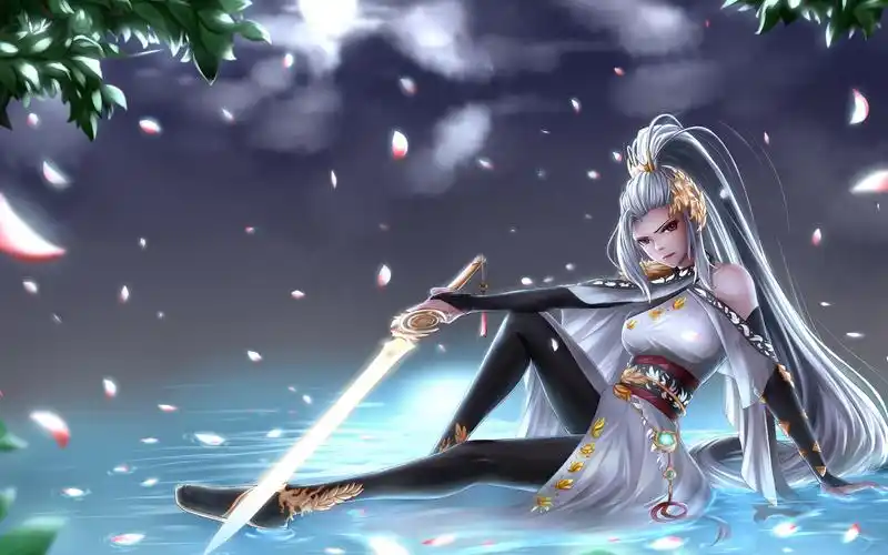 低血流剑帝5分钟伊斯大陆金龙