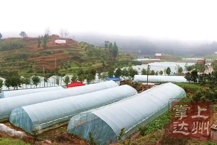 通川区磐石镇美丽乡村入画来