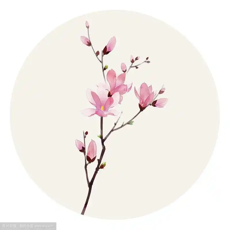 水彩花草插画 玉兰花