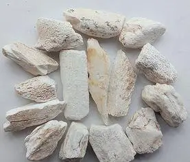 煅瓦楞子怎么煎 煅瓦楞子的煎制方法