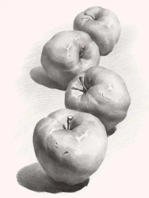 《蔡兼素描静物》燃爆联考!震撼登场.