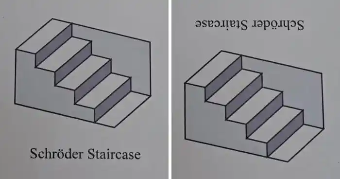 视觉魔术师杉原厚吉获得视错觉艺术一等奖的是真的从来不让人失望日本