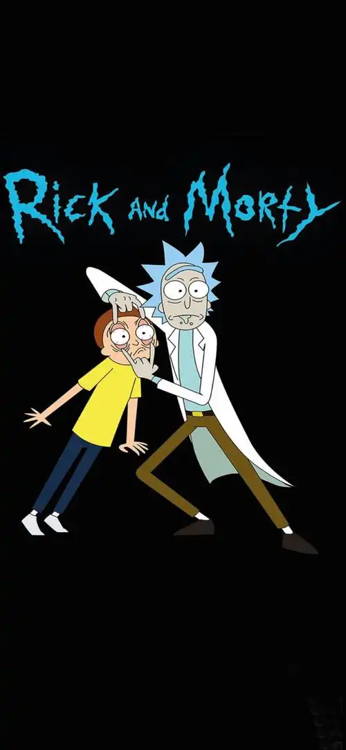 壁纸动漫系列之瑞克和莫蒂粉丝求图