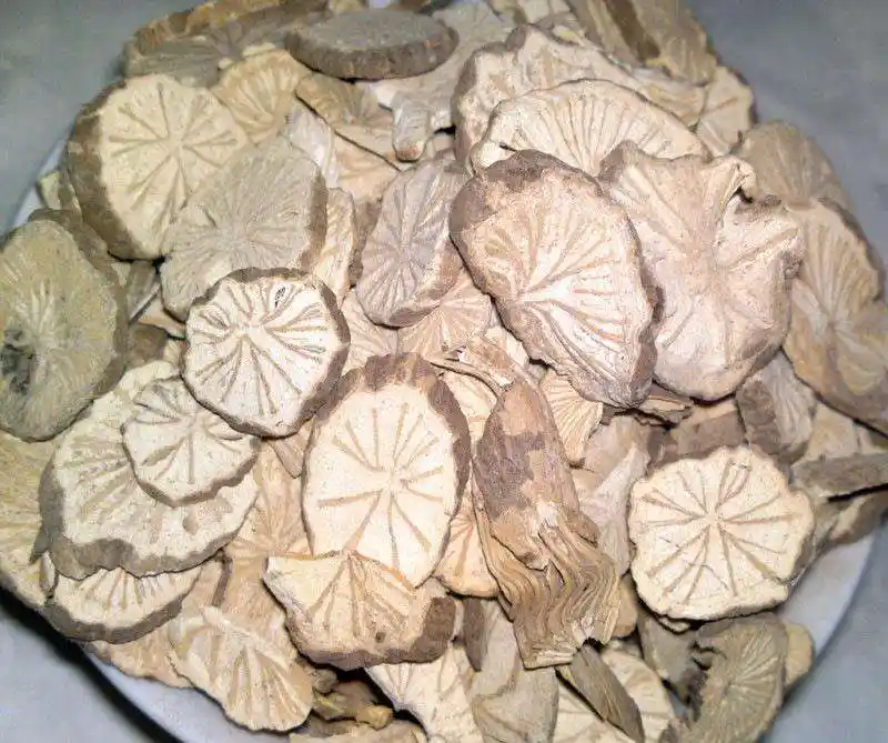 木防己与广防己的区别