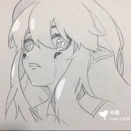 安莉洁手绘图过程