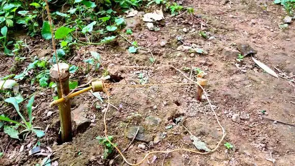 拉环式野鸡套陷阱,更加灵敏更好安装-三农视频-搜狐视频