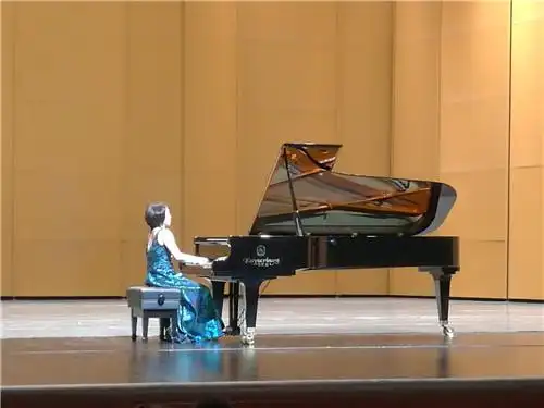 著名钢琴演奏家胡瀞云演奏现场.摄影 李开南