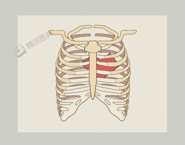 强烈的心痛,大概在胸骨后的位置[1],偶尔颈部,牙齿,喉咙,肩膀也会疼痛