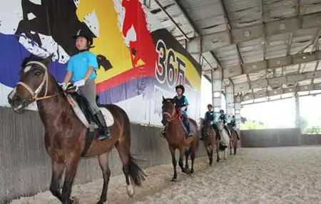 松声马术双语夏令营6天-上海松声马术俱乐部活动方案「官宣」