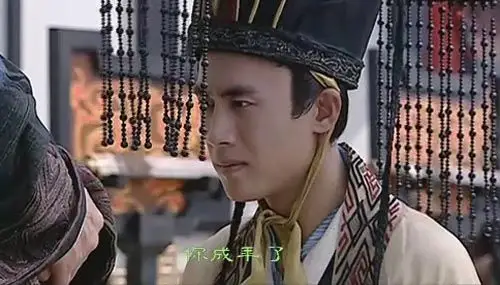 娱乐 滚动 > 揭杜淳为什么不红              1,2005年 汉武大帝 饰演