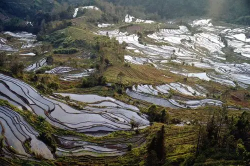 元阳多依树梯田好玩吗,元阳多依树梯田景点怎么样_点评_评价【携程