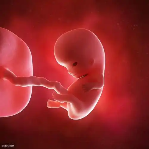 胎儿1-40周的发育,见证受精卵到新生儿的成长,生命真的很神奇_健康