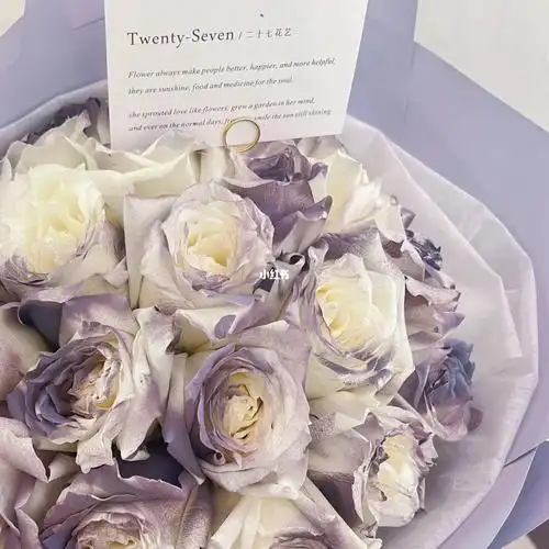 阳光卡普里灰紫玫瑰