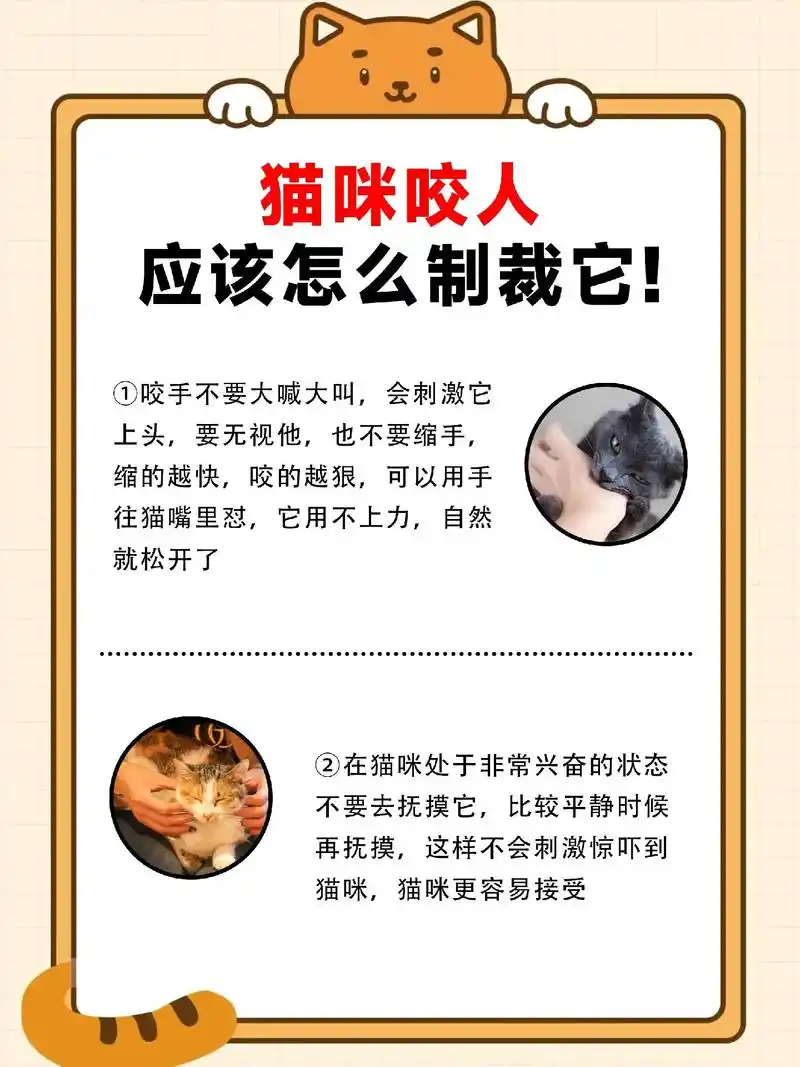 猫咪抓人咬人怎么办?用这几招,简单有效!我相信很多养猫人都被 - 抖音