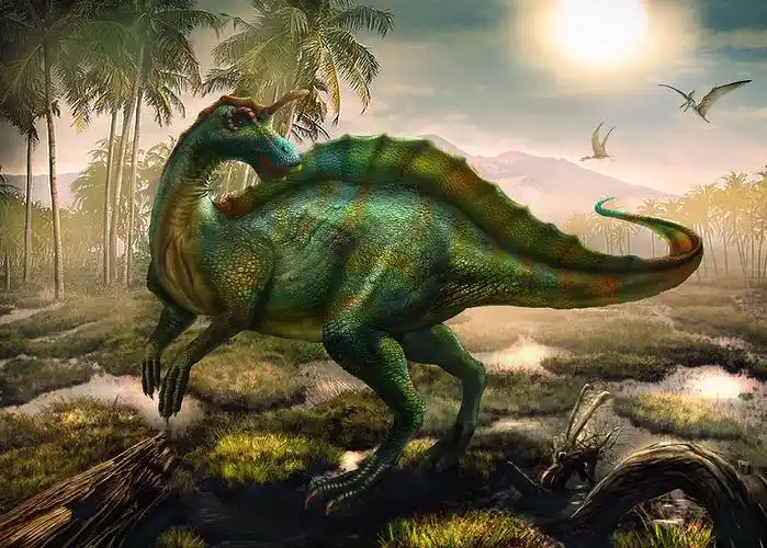 青岛龙儿童绘本插图原创