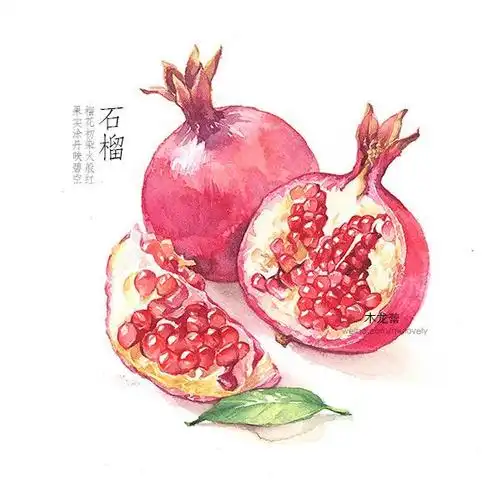水彩画·红石榴 精致如珠的水果-木龙蕾_水彩,水果,插画,手绘_涂鸦