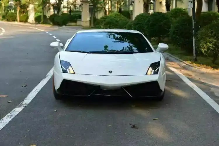 纯12年兰博基尼小牛