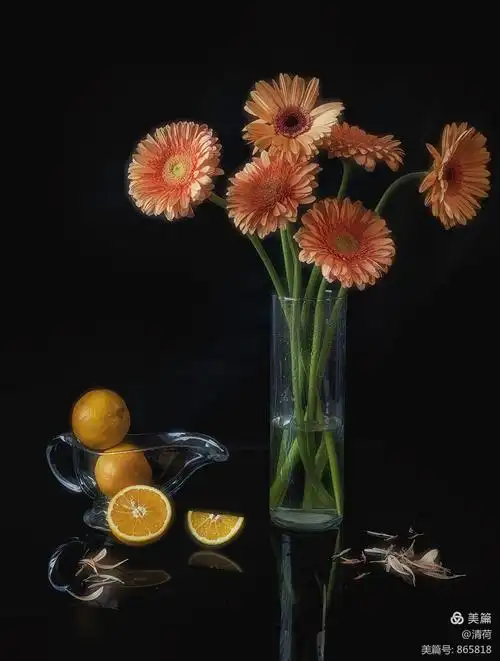 清荷静物摄影小课堂:第一期学员结业作品