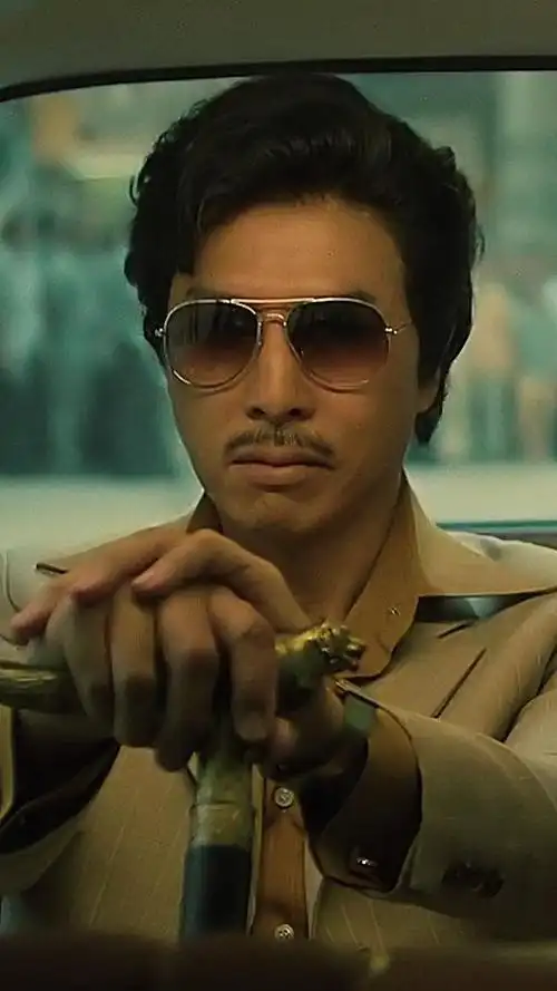 甄子丹的粉丝在哪动态壁纸_高清竖屏视频下载-火萤壁纸