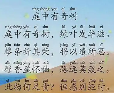 初中必背古诗庭中有奇树拼音版