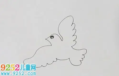一笔画飞鸟一笔画飞鸟教程鸽子简笔画