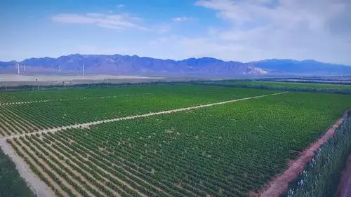 祖国那么大,一起来宁夏,看星星,品红酒,给心灵放个假!